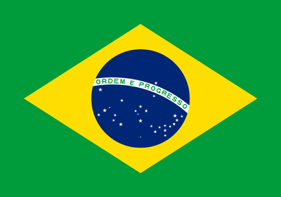 BRAZIL FLAG