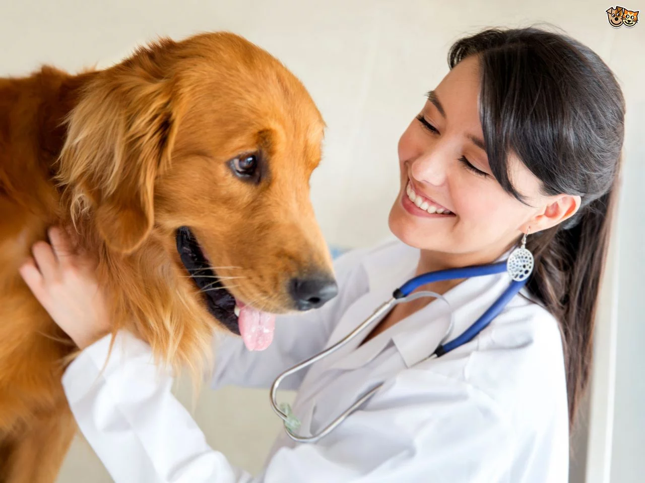 Veterinary care